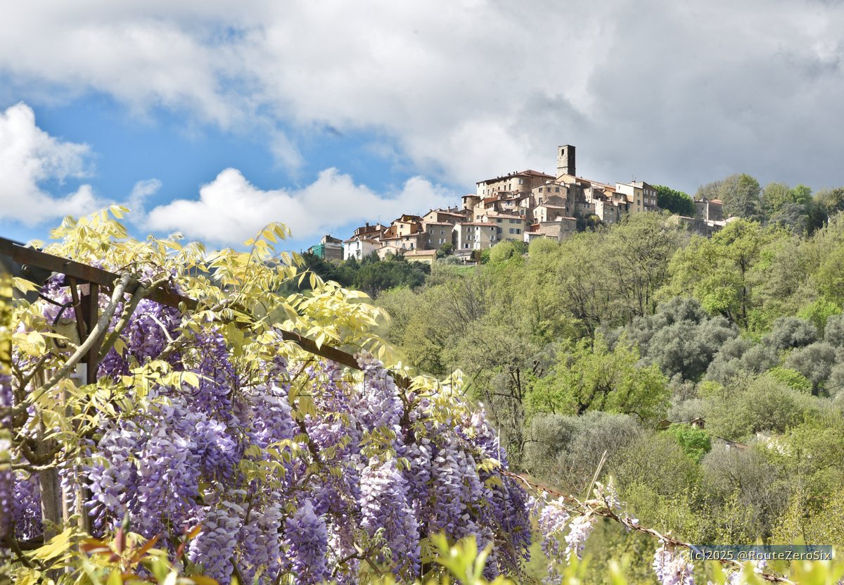 routezerosix's tweet photo. Vous ne verrez rien de plus beau aujourd'hui ! Le village perché de Bar-sur-Loup (Alpes-Maritimes) 😍
#BarsurLoup #AlpesMaritimes #CotedAzurFrance #FrenchRiviera #BaladeSympa #Paques #RegionSud #Glycine #Wisteria https://t.co/2EJmcwb2OJ