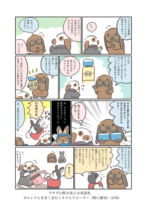 うさぎアドベンチャー
143話 おいしい飲み水📗

うさぎアドベンチャーの本販売中
minne→https://t.co/s1NSGxCuaC
Creema→https://t.co/N6PqdzcG9N

#うさぎ #うさぎのいる暮らし #漫画 #マンガ #ウェブマンガ #web漫画 #うさぎアドベンチャー #漫画がよめるハッシュタグ 