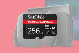 RazorVolare's tweet image. DO NOT buy the #Switch2Camera esp. if you are like a Boo. Only buy if they pair it w/ game--which actually might happen. DO buy a #ExpressMicroSD card but only if you more then 256GB microSD in your #Switch1. Make sure you buy the right one. Has a 3 inside a U far as I can tell.