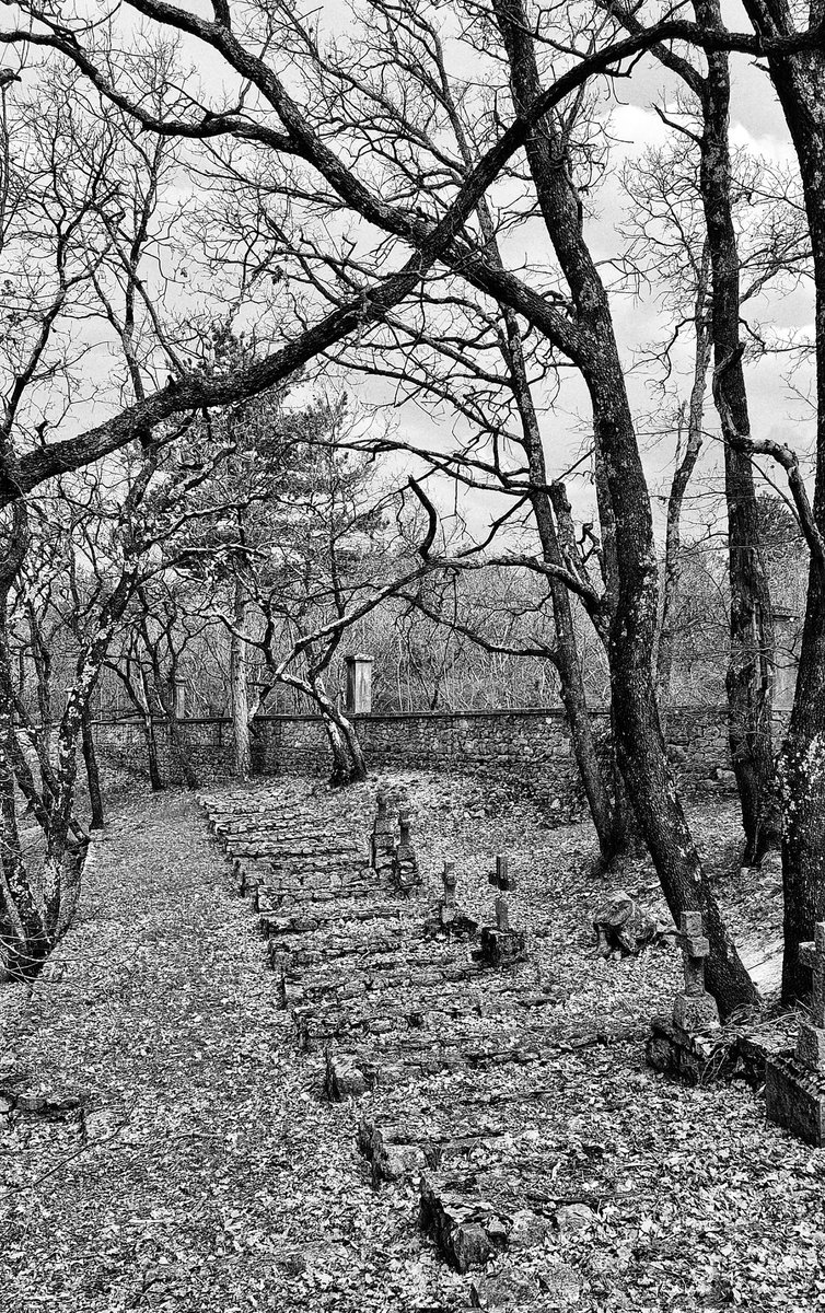 BalasAnita's tweet photo. Somewhere ... #photography #nature #treese #blackandwhitephotography https://t.co/s5STnML9Vi