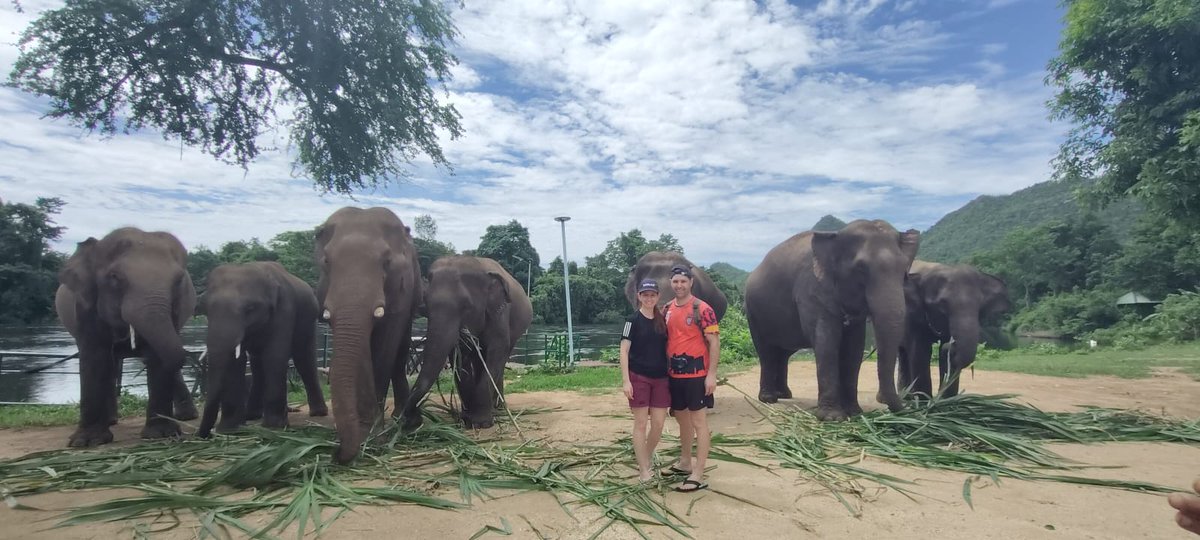 EstelaAlmonacid's tweet photo. Bendita maravilla 🐘
#ElephantWorld #Tailandia https://t.co/sbdIF1GQfJ