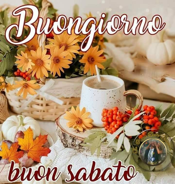 Marianna tweet media