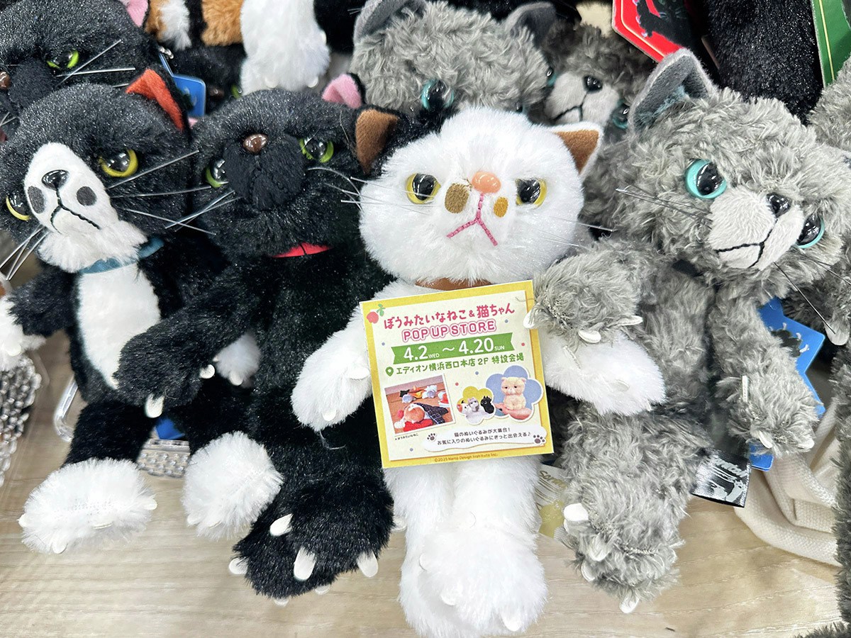 edion_yoko_nisi's tweet image. ぼうみたいなねこ&amp;amp;猫ちゃんPOP UP STORE
明日4/20㊐まで‼

いろいろな猫ちゃんがお待ちしています🙌✨
#スクラッチ #ぼうみたいなねこ #チューチューキャット