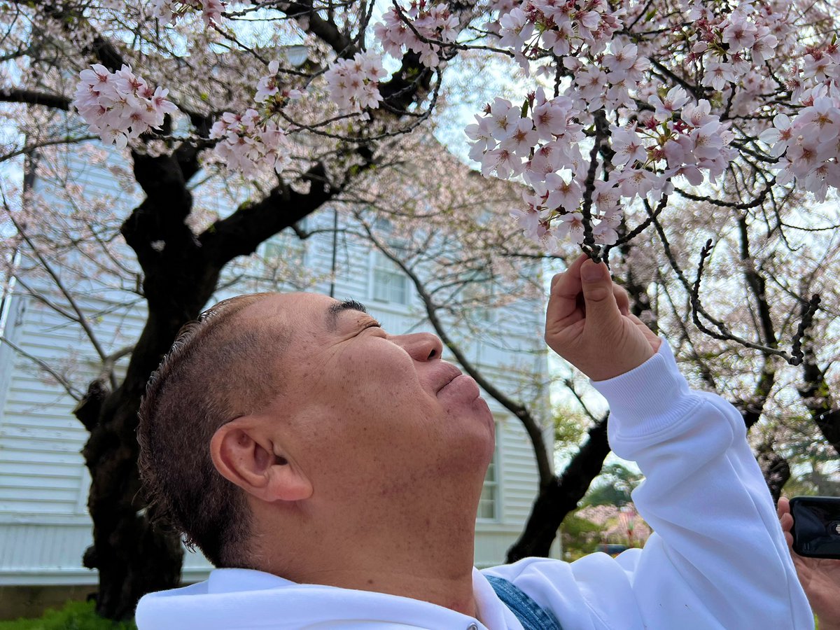 ただ今もみんなでワイワイと撮影中です🍉✨✨ まだまだコチラは桜が