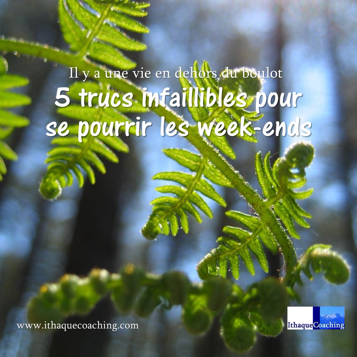Pourquoi chercher à passer des week-ends agréables alors qu’il suffit de quelques convictions bien ancrées pour s’assurer deux jours moroses, qui rendraient impatient(e) de retourner au boulot? Voici 5 trucs infaillibles pour se pourrir les fins de semaine
ithaquecoaching.com/articles/5-tru…