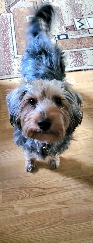 Happy Saturday and #HappyCaturday to my cat friends 🧡 
Have a great day