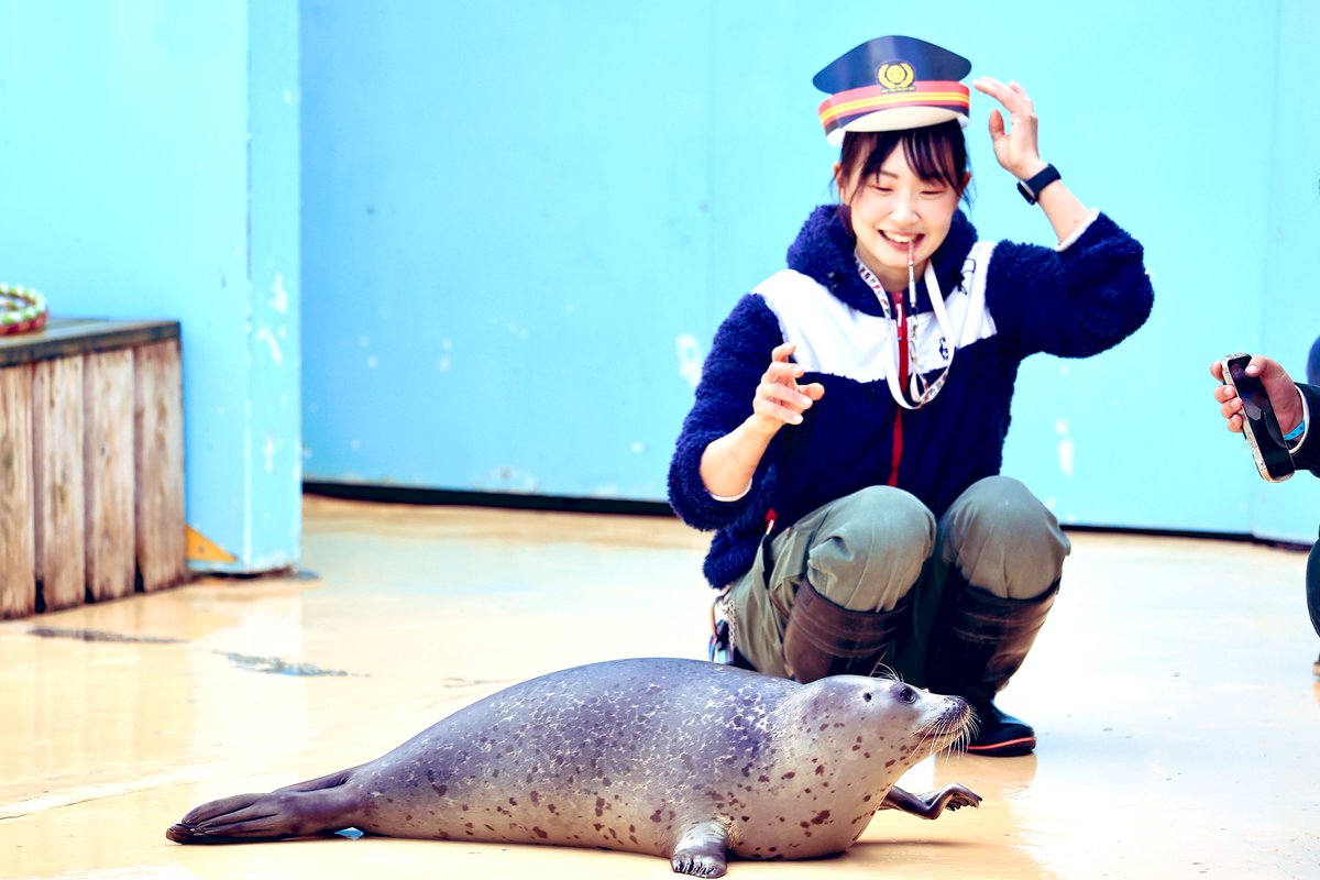 pon_pon_taitai's tweet photo. 担当は海獣やラマなのにペンギン以外で写ってる画像全然ないな…
#頑張る東武の飼育係2025
#東武動物公園 #MYMT
#フンボルトペンギン #ゴマフアザラシ https://t.co/6wdnZVxe5r