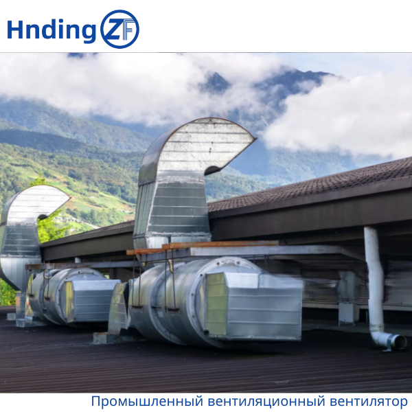 HengDing_Fan's tweet photo. 💨 Dust Removal Centrifugal Fans – Clean Air, Clear Productivity! 
💬 Contact Us:
📧 Email: winston-xu@hengdingfan.com
🔗 Website: https://t.co/pf0iTJGArT
#DustRemovalFans #CleanAir #IndustrialVentilation #EnergyEfficient #HealthyWorkplace #CentrifugalFans https://t.co/eV4z3sRfDN