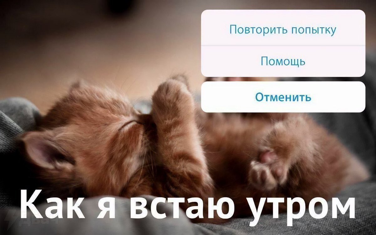 Двач (@ru2ch) on Twitter photo 