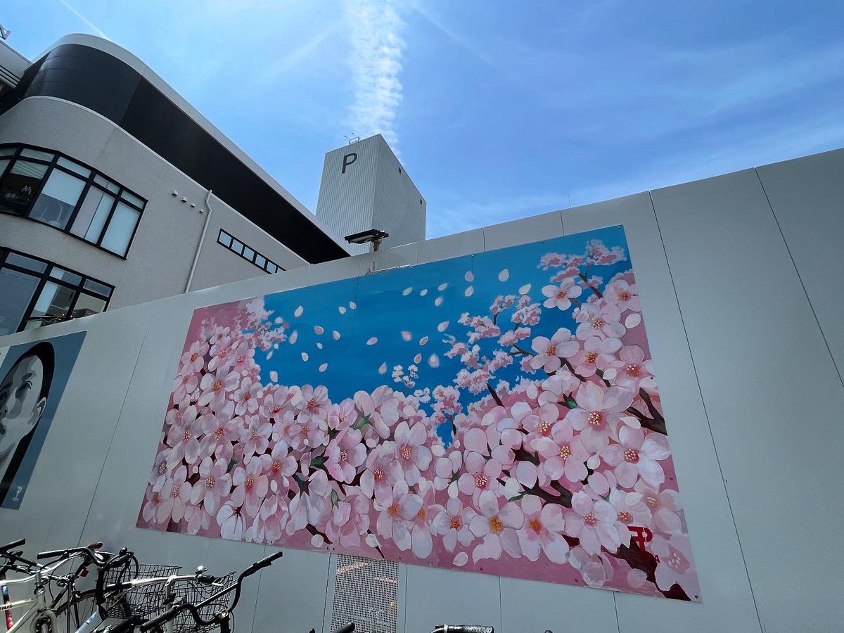 sakachansoushan's tweet photo. 福岡は桜満開🌸
#PICFA
#片思い世界 https://t.co/TajPSMTDcK