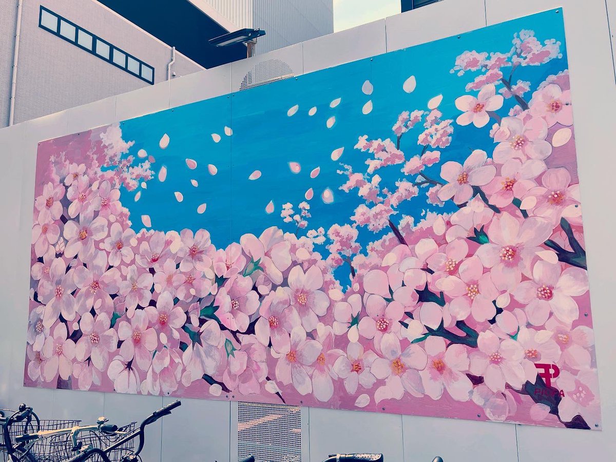 sakachansoushan's tweet photo. 福岡は桜満開🌸
#PICFA
#片思い世界 https://t.co/TajPSMTDcK