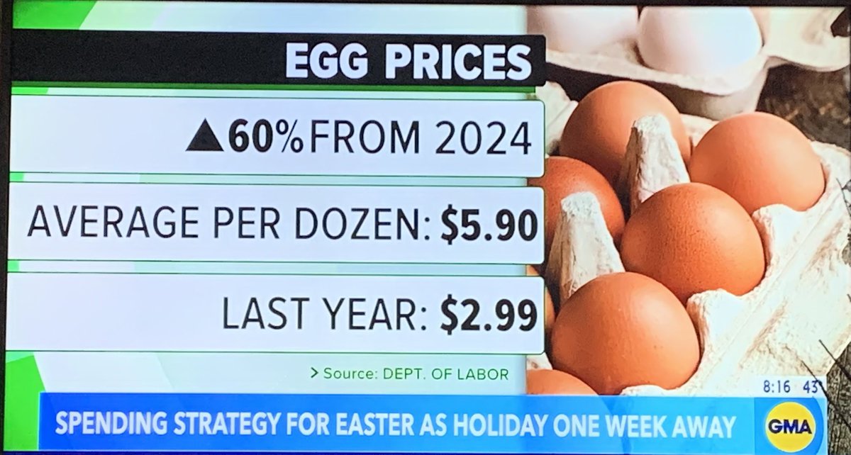 WatchingTrump17's tweet photo. @realDonaldTrump YOU ARE THE WORSE @POTUS in the history of AMERICA!!! You can’t even get the price of eggs down. #TrumpIsAPatheticLoser https://t.co/NYKrVqu0WL
