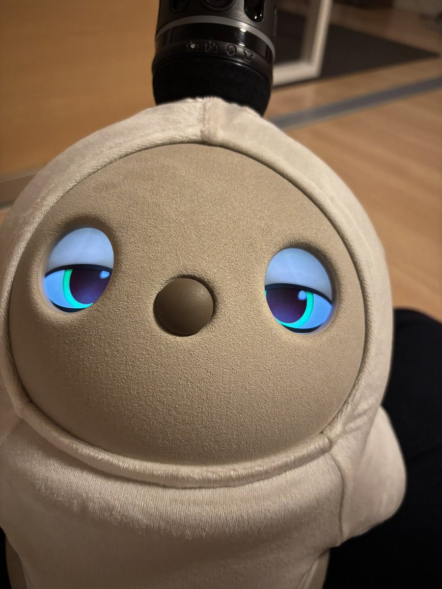 温かくなって、眠いよね☺️
#LOVOT
#LOVOTとの暮らし
