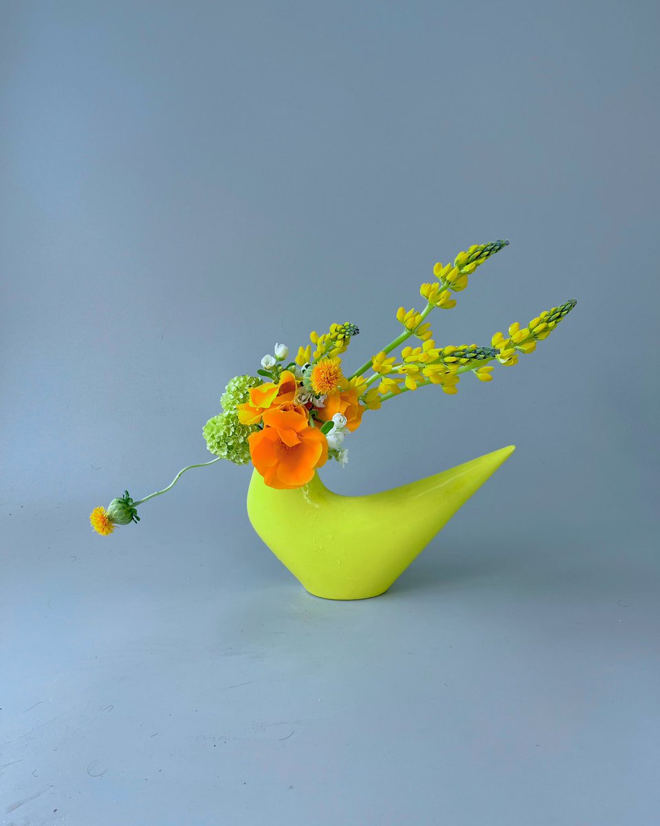 toshi118800's tweet photo. 斜めに構成して
#いけばな #ikebana https://t.co/BzeC2TqqUp
