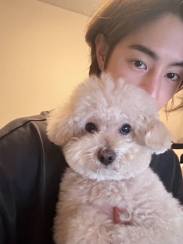 GOT7MarkPH's tweet photo. The way Milo really looks like my dog but in a different shade of ink 🤭 Newly groomed Milo! Honestly, I thought Mark was the one who had a haircut because of the notification 🤣

#marktuan #got7 #milotuan https://t.co/si6UxQfmk6