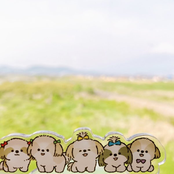 wancolog's tweet photo. おでかけだよ〜🐕 https://t.co/MM5CCxVPWU