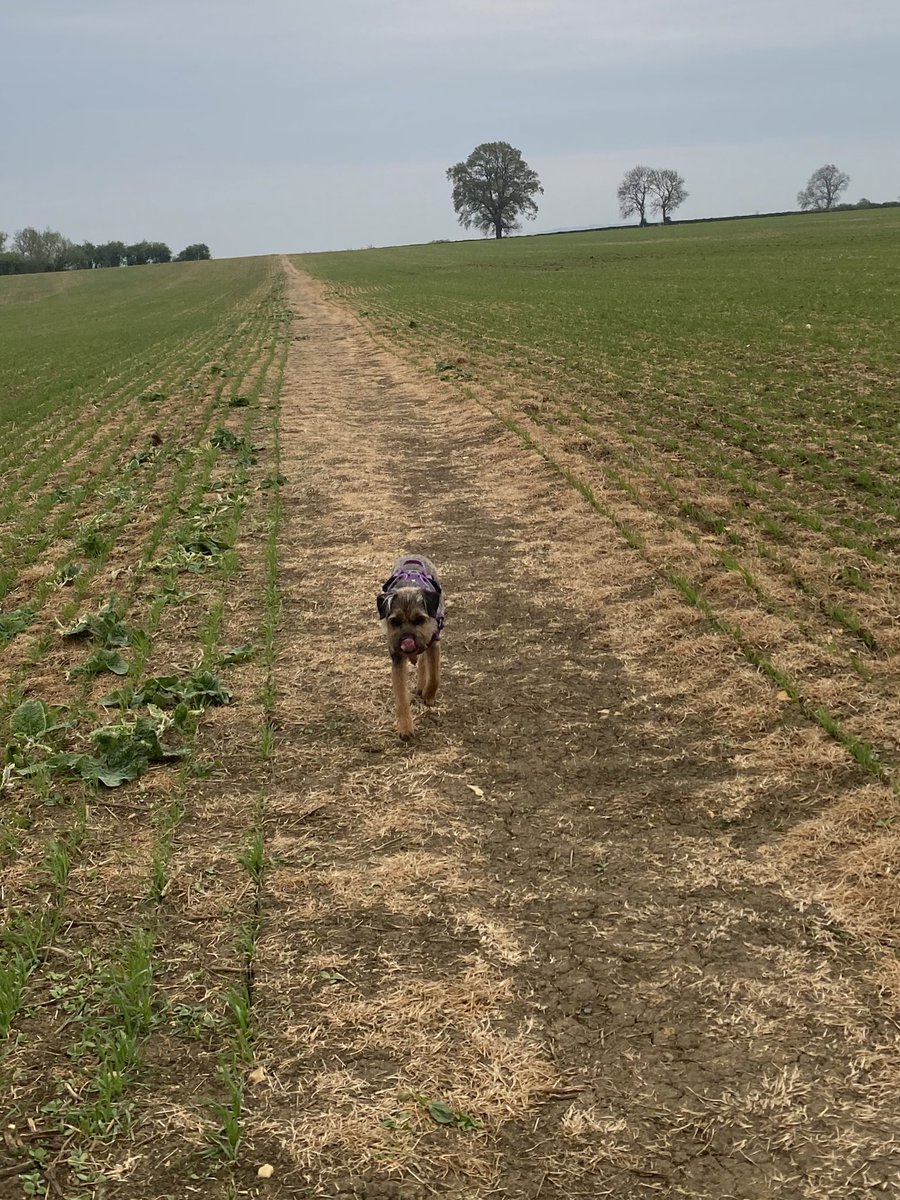 willowborder's tweet image. Happy Easter Pals 🐣 

#btposse