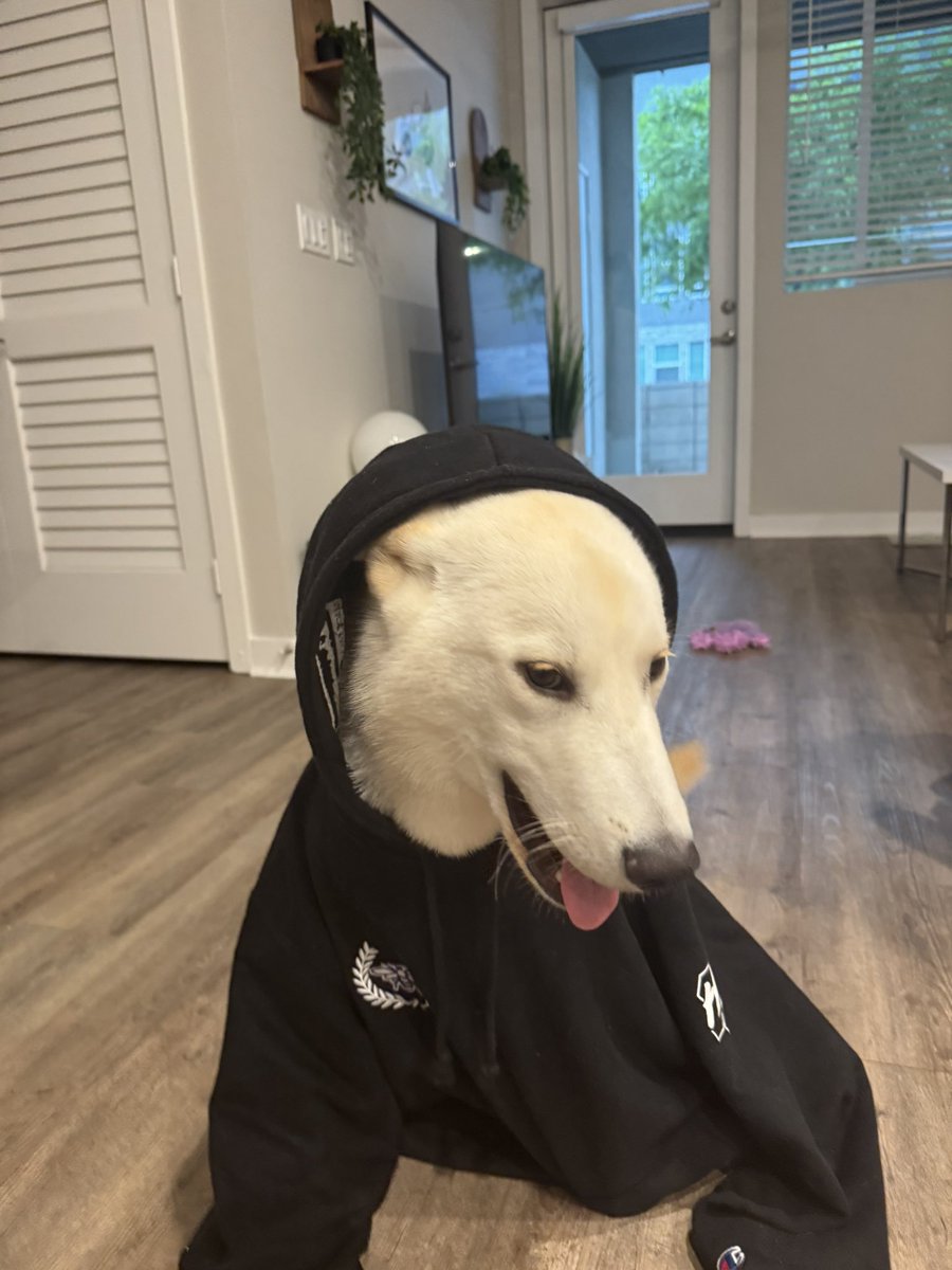 Neeezy27's tweet image. Milo said use #CodeHive