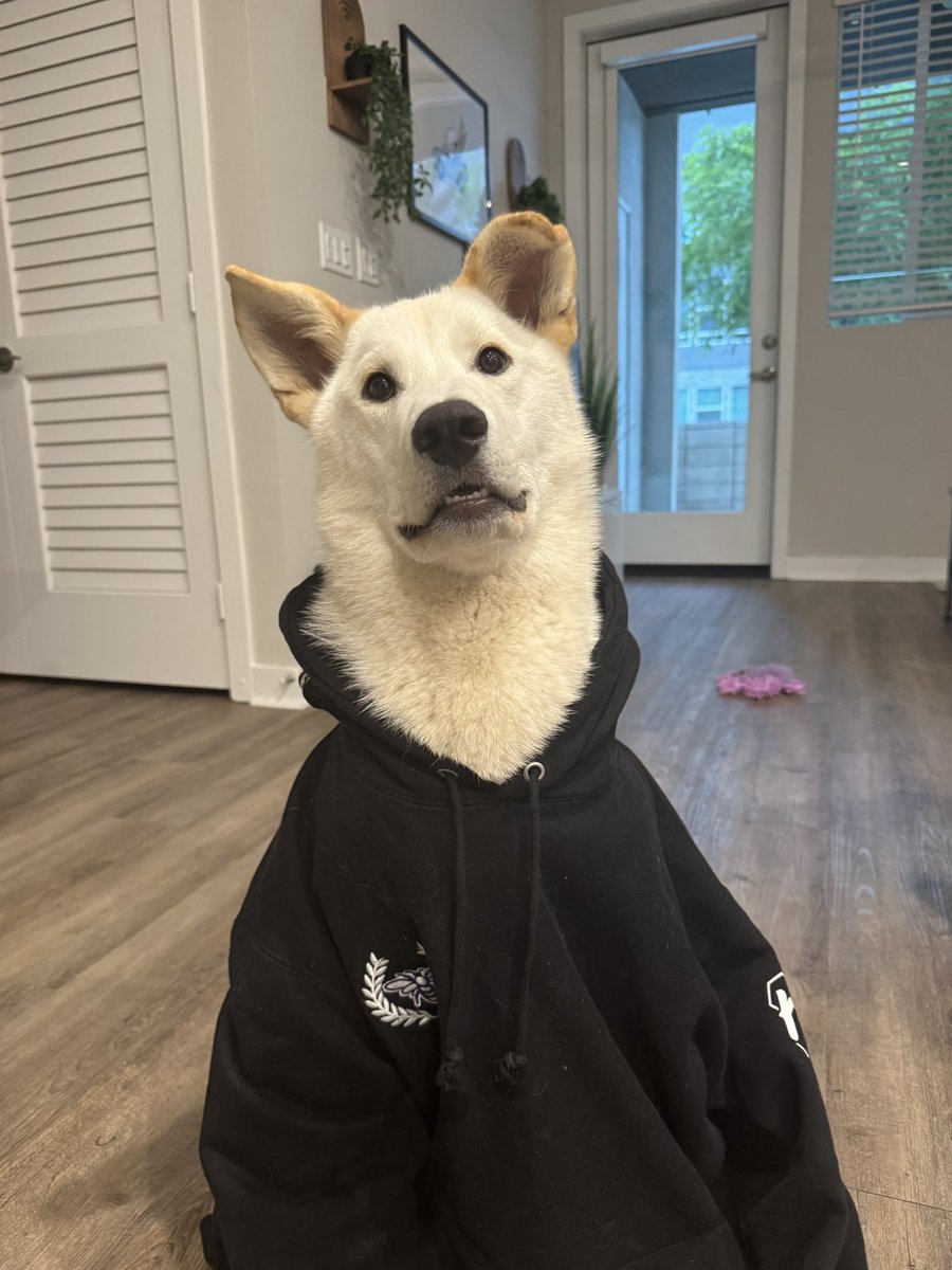 Neeezy27's tweet image. Milo said use #CodeHive