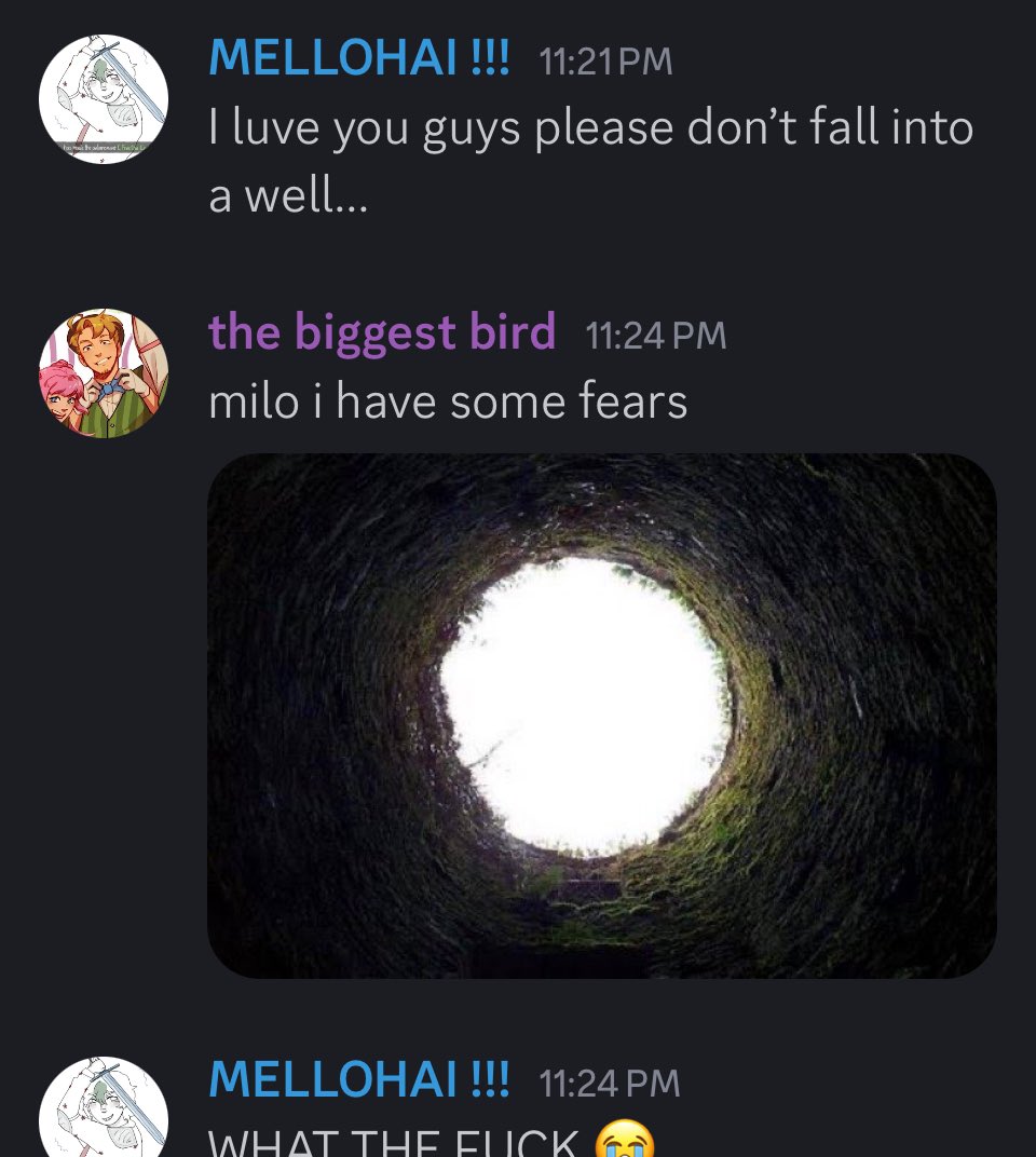 SLSTRUGGLES's tweet image. I hate everyone in this stupid server