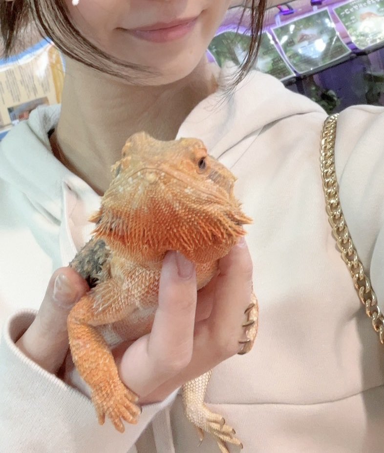 eva_Logres's tweet photo. この子を家族に迎え入れようと思うのですが、名前募集させて下さいm(*_ _)m
ログレス関連だと嬉しい(๑•̀ㅁ•́ฅ✧
#ログレス https://t.co/YF9zC7whP5