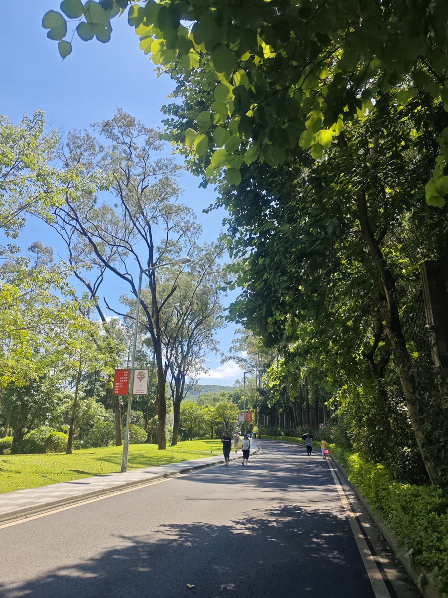 Willing power tweet media