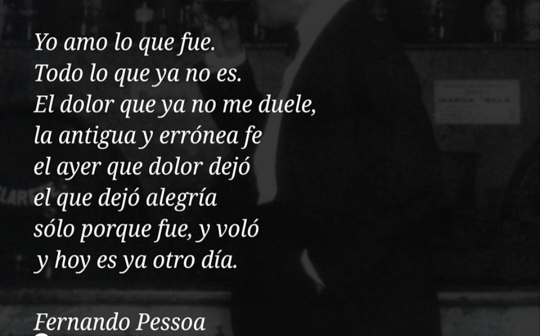 aguiarruz1's tweet photo. https://t.co/FpQhK873ui