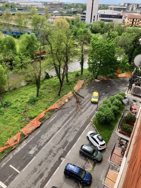 MANUTENZIONE DEL VERDE – MILANO

Ogni volta che piove forte, Milano si trasforma in un campo di “battaglia navale”.

Servono potature serie e una cura vera del verde. Basta improvvisazione.

<a href="/ComuneMI/">Comune di Milano</a> <a href="/BeppeSala/">Beppe Sala</a> <a href="/FratellidItalia/">Fratelli d'Italia 🇮🇹</a>
#Milano #VerdePubblico  #MarcoCagnolati #Sicurezza