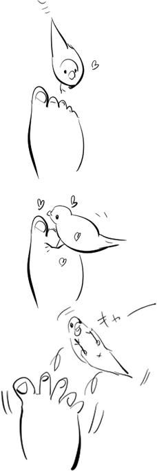 春になって久しぶりに会った俺の素足が好きなインコ
嫌がるそぶりにもやたら紳士的対応をみせ始める 