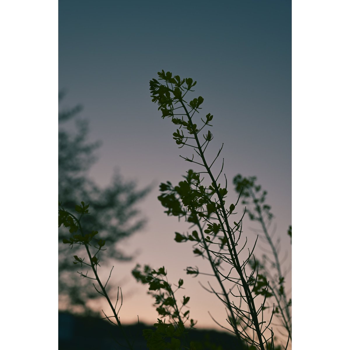 Agi（あぎ） (@agito_photo) on Twitter photo 