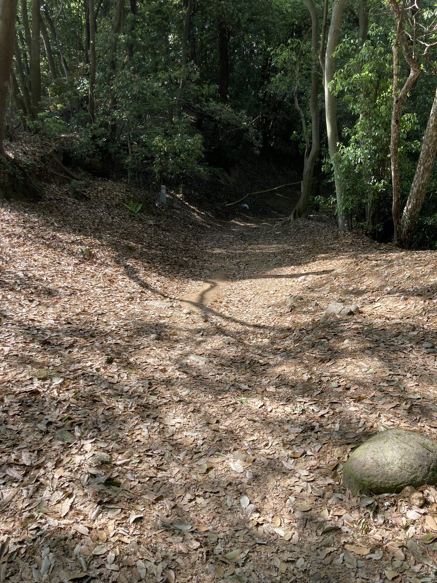 _ko1's tweet image. RubyKaigi 過酷すぎない？　#rubykaigi