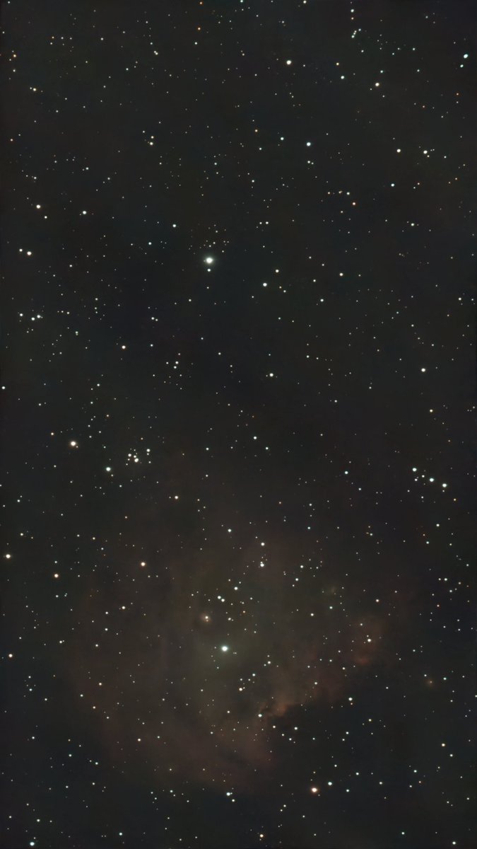 pedrofitzy76's tweet photo. Monkey Head Nebula #SeestarS50 #Astronomy https://t.co/sG91BDuK76