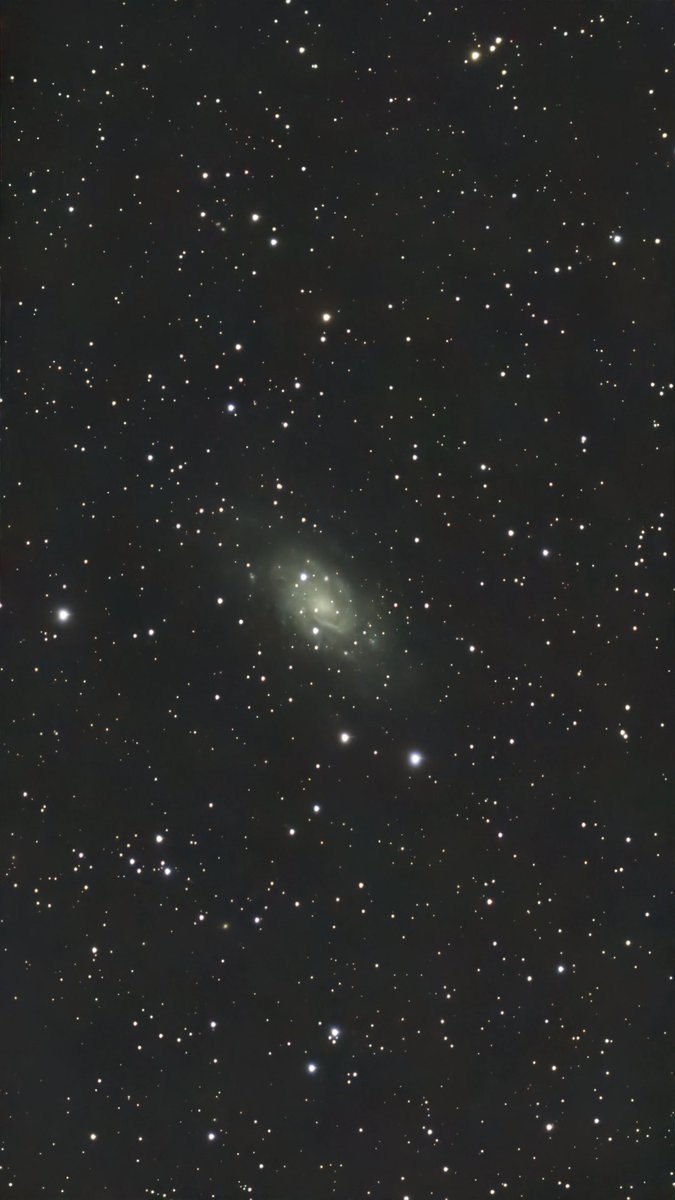 pedrofitzy76's tweet photo. NGC 2403 Galaxy #SeestarS50 #astronomy https://t.co/Xn279VB5h9