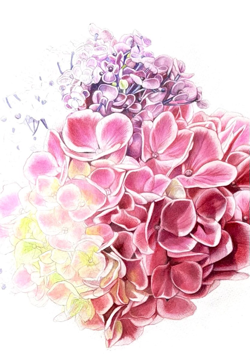 色鉛筆画 🖍️ AKITAKIKO (@kibisukibisu888) / Posts / X