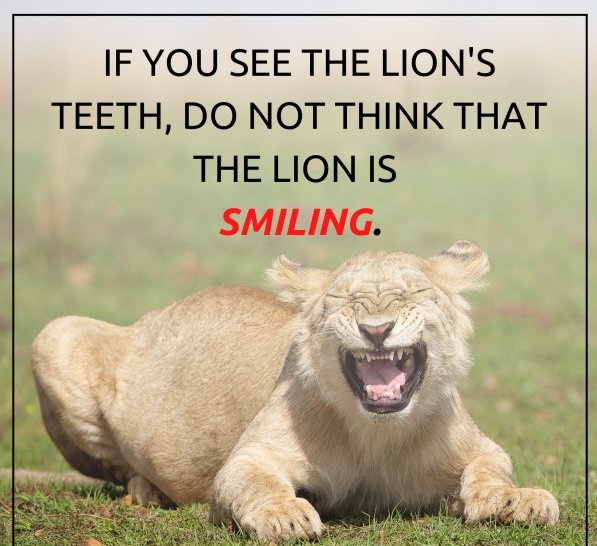 If you see the lion's teeth, don't think that the lion is smiling.