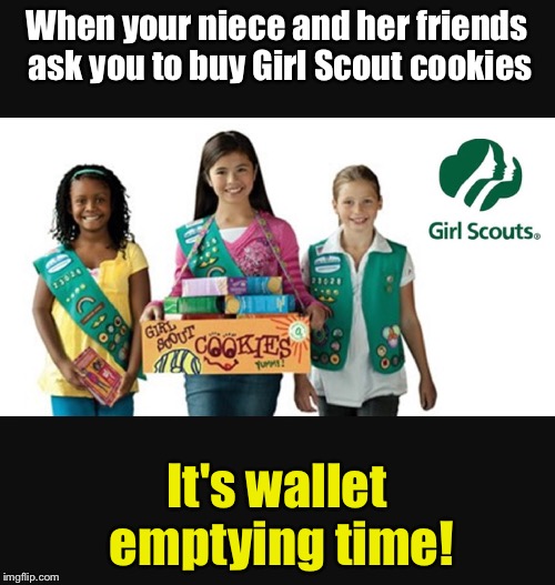 gangscouts's tweet photo. Well you wanted and YOU all asked for more memes! So enjoy this one that we just made!! Another one is coming soon!!
Also follow us for more girl scouts memes! Or...ELSE! Thanks!
#weareback #morejokes #morememes #newmemes #scoutmemes #girlscouts #gsa #gangscouts https://t.co/pJCHUMdr8P
