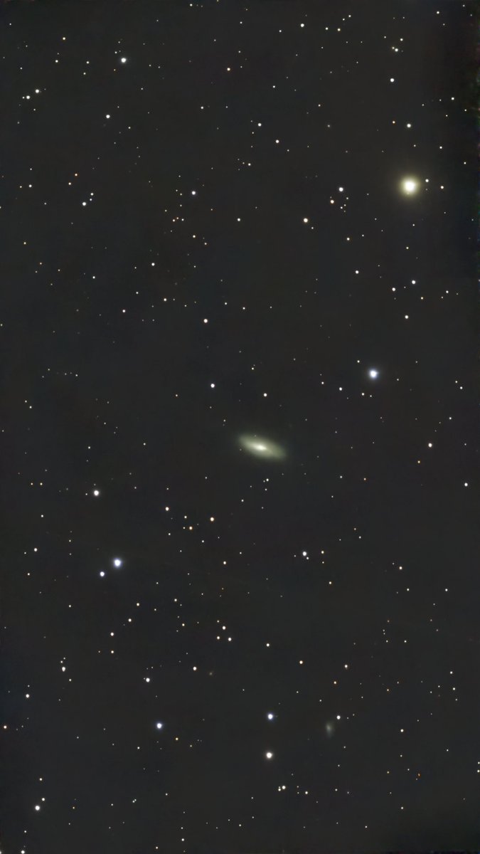 pedrofitzy76's tweet photo. NGC 5005 Galaxy #SeestarS50 #Astronomy https://t.co/YB9hBBppvQ