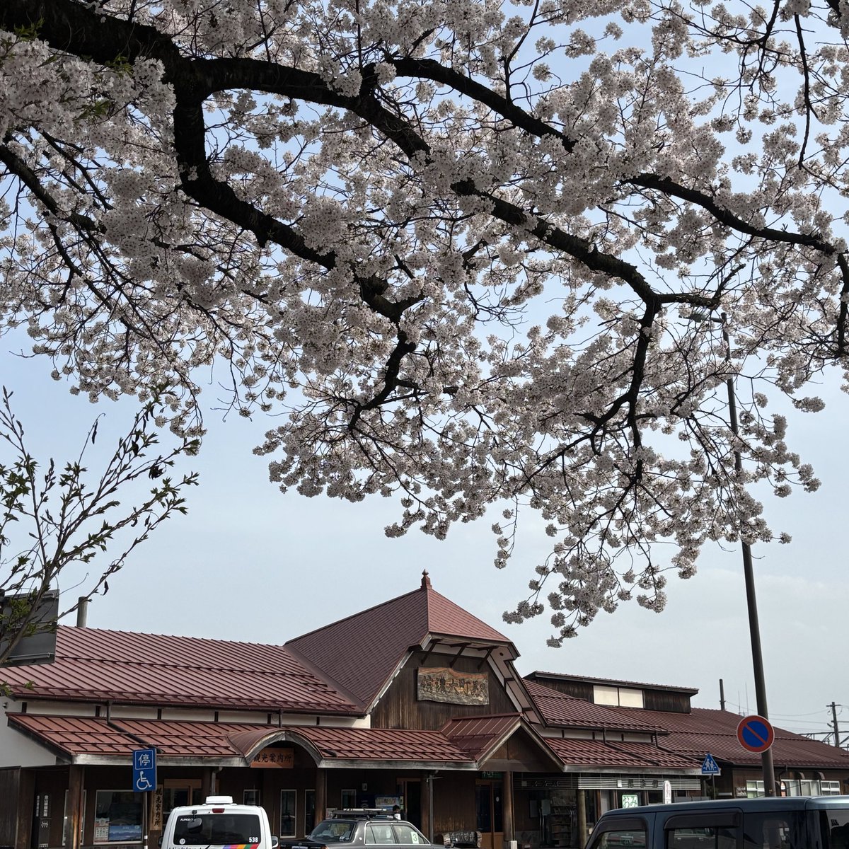 たんぽぽぽ (@ta_npopopo) / Posts / X