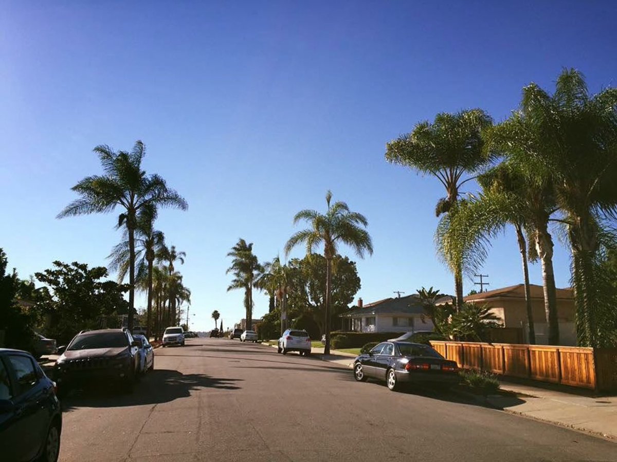 Can I get a GM? ☀️🌴