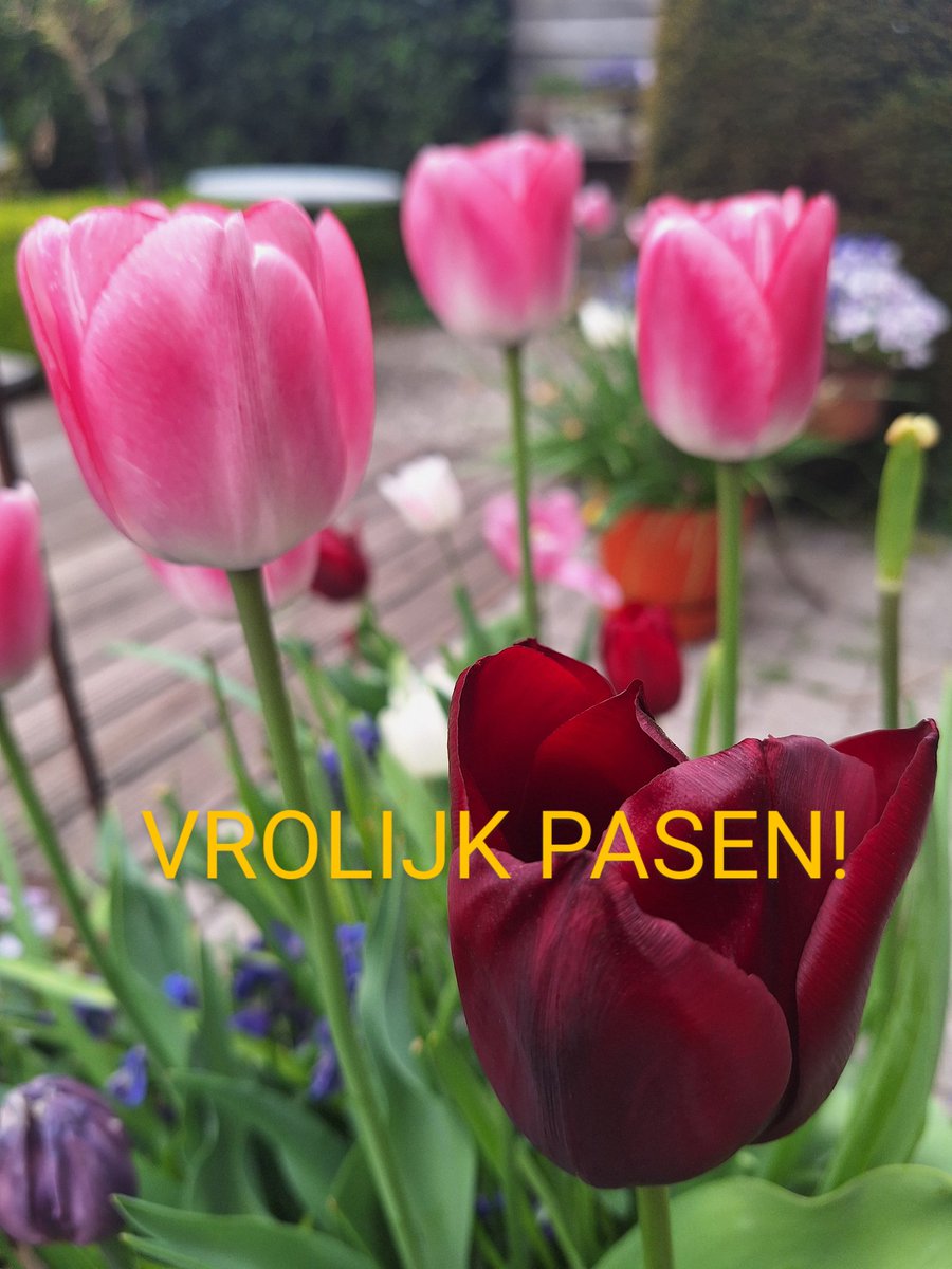 guy_rabaut's tweet photo. @Virginie_VVD https://t.co/F2GmOCm8s9