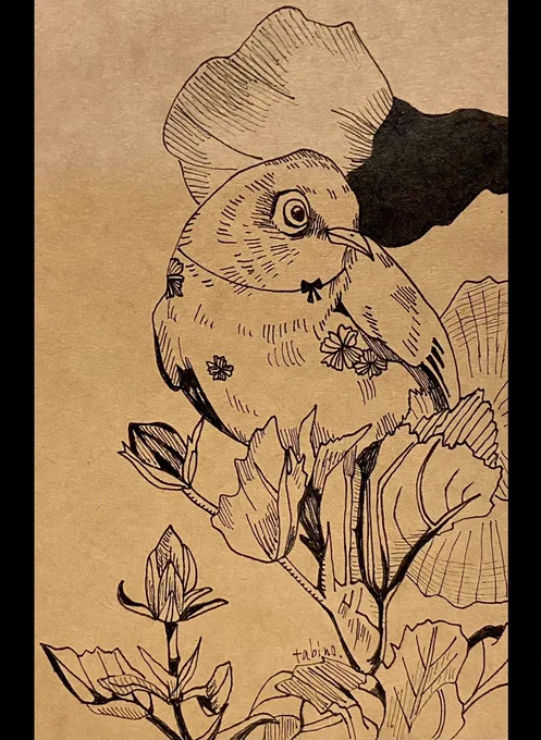 メジロ描きました。
#メジロ #鳥イラスト #ペン画 