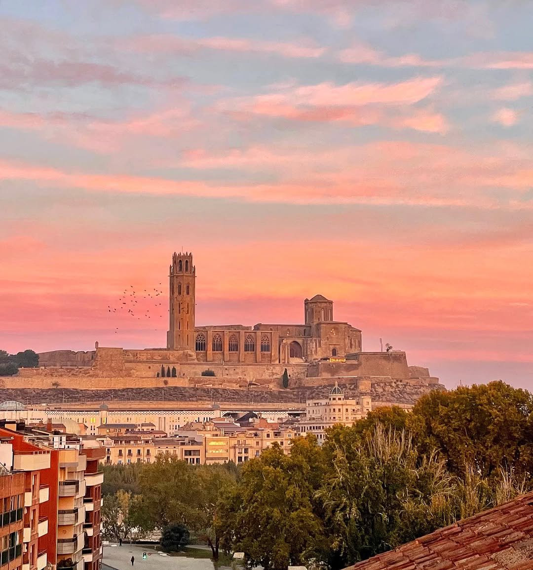 A l’horitzó, la silueta de la Seu Vella mai deixa de sorprendre🤩. Però el que realment impressiona és la manera com es deixa veure des de tants racons de la ciutat de Lleida💫. La inconfusible icona del SEGRIÀ i del nostre ☝️ADNLleida🦋💚🌍

📌 Ciutat de Lleida, el Segrià