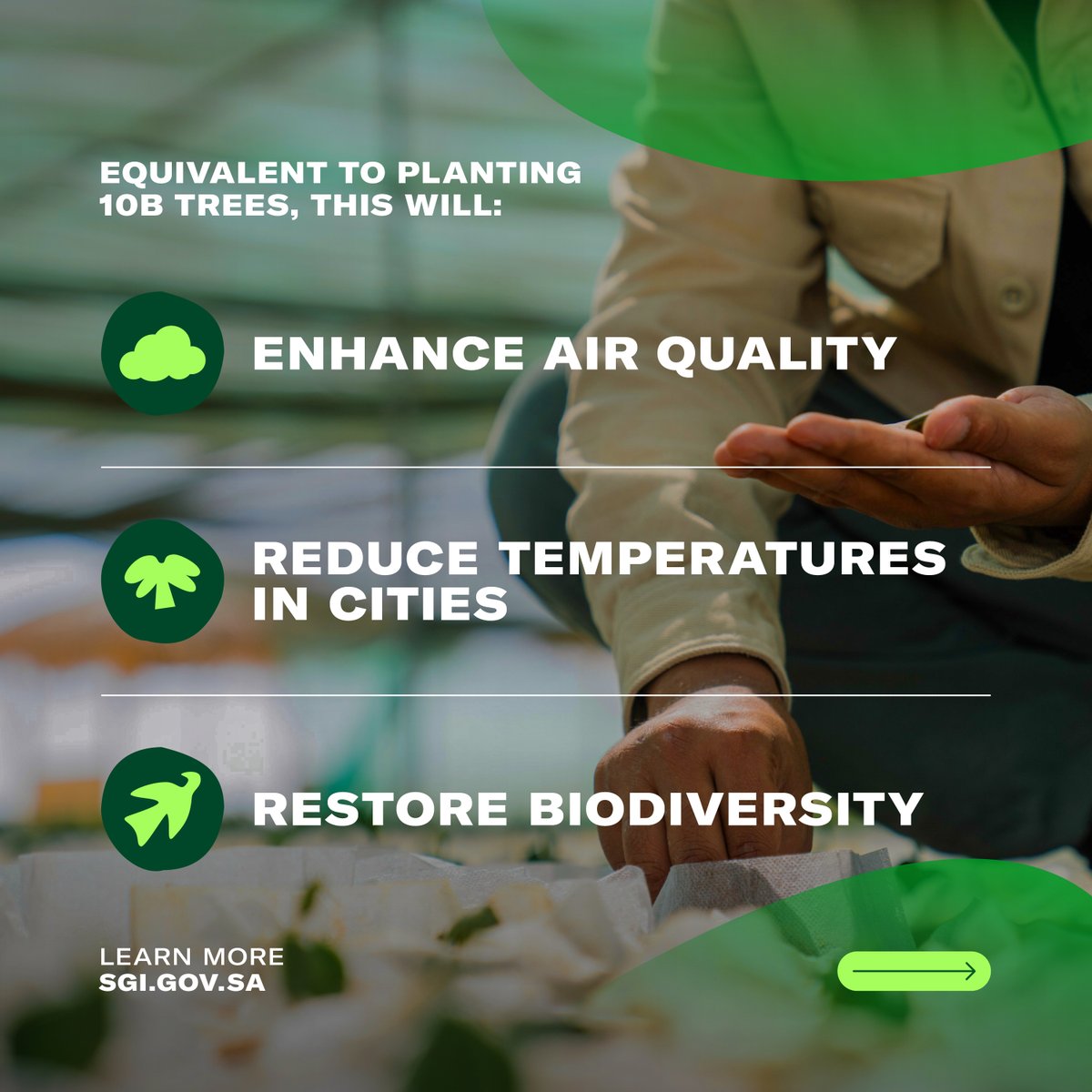 SGISaudi's tweet photo. With #SaudiEnvironmentWeek just 1️⃣ day away, we are celebrating the Kingdom's significant strides in greening our landscape.

Swipe to learn more about the progress being made in the Kingdom ⏩