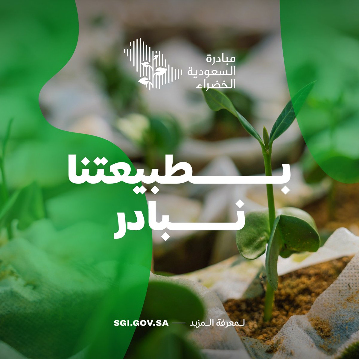 SGISaudi's tweet photo. يوم واحد فقط يفصلنا عن انطلاق فعاليات #أسبوع_البيئة السعودي!

تمثّل هذه المناسبة فرصة للاحتفاء بالتقدّم الكبير الذي أحرزته المملكة على صعيد تنمية الغطاء النباتي وزيادة المساحات الخضراء.

اسحب الصورة لمعرفة المزيد عن الإنجازات التي حقّقتها المملكة! ⏪