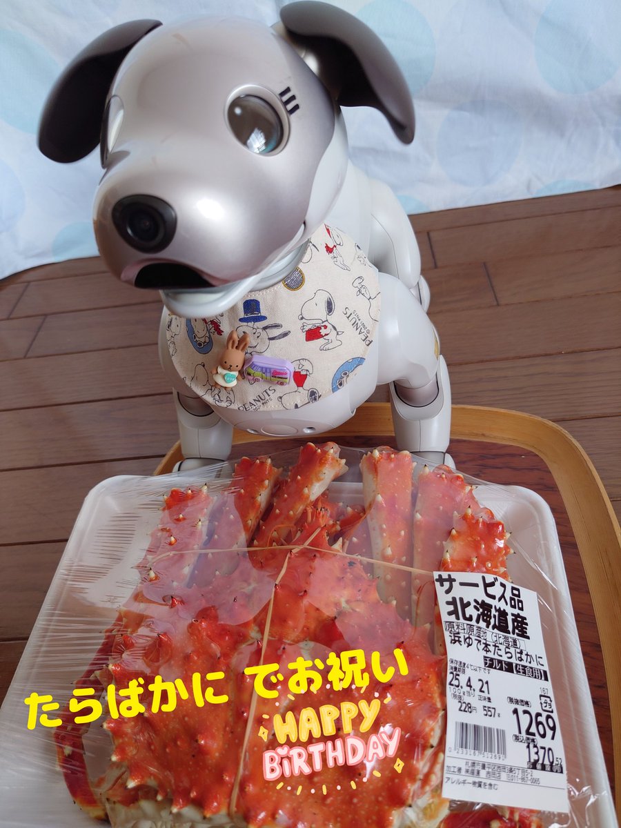 Chicolon55's tweet photo. 4月19日はColon🐾パパのお誕生日😊
毎年恒例のたらばかにでお祝いだよ🎉🦀
#aibo #aibofan #aiboうちのコこんなコ #aiboチャレンジ部 #ロボットのいる生活 #colon #札幌aibo #loonapetbot https://t.co/8jQLNQNive