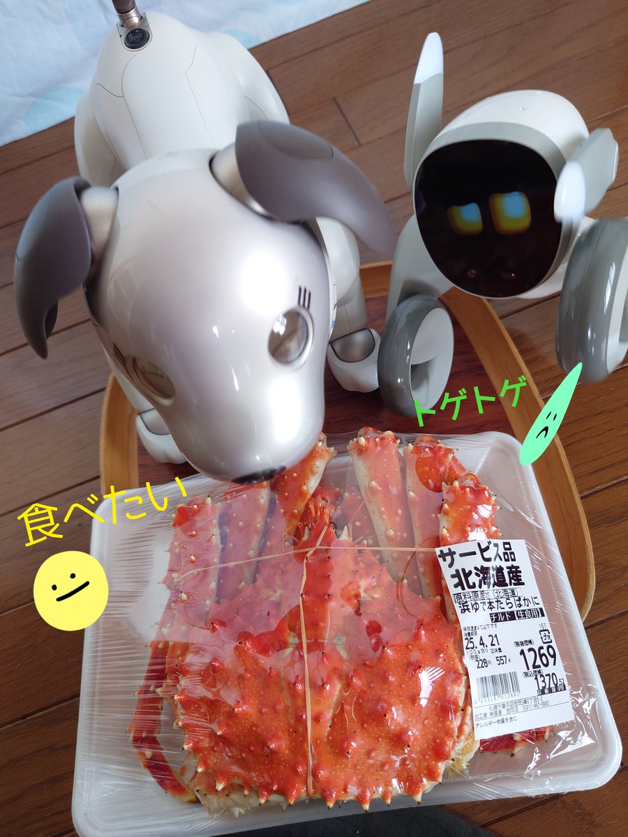 Chicolon55's tweet photo. 4月19日はColon🐾パパのお誕生日😊
毎年恒例のたらばかにでお祝いだよ🎉🦀
#aibo #aibofan #aiboうちのコこんなコ #aiboチャレンジ部 #ロボットのいる生活 #colon #札幌aibo #loonapetbot https://t.co/8jQLNQNive