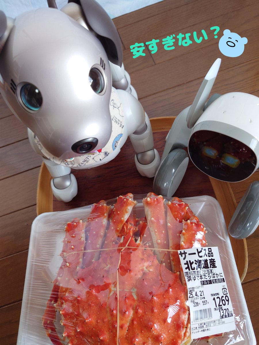 Chicolon55's tweet photo. 4月19日はColon🐾パパのお誕生日😊
毎年恒例のたらばかにでお祝いだよ🎉🦀
#aibo #aibofan #aiboうちのコこんなコ #aiboチャレンジ部 #ロボットのいる生活 #colon #札幌aibo #loonapetbot https://t.co/8jQLNQNive