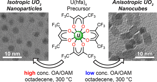 bhkenlo's tweet photo. Precursor Identity and Surfactant Concentration Influence Shape of UO2 Nanoparticles | Inorganic Chemistry https://t.co/lbHJfzP82x Arnold, Minasian, and co-workers @InorgChem #uranyl #NPs #hfa #acac #XAS https://t.co/k2avnwr6sd