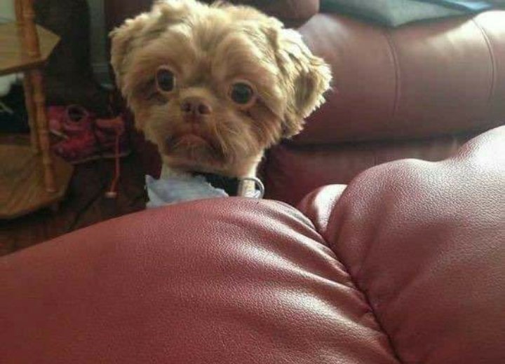 Freeman x Marks. tweet media