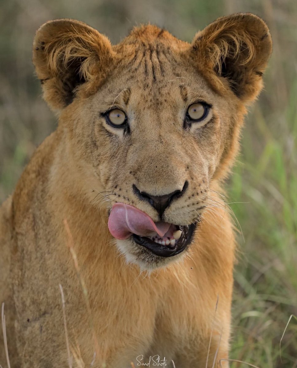 Travel with Jazel tweet media